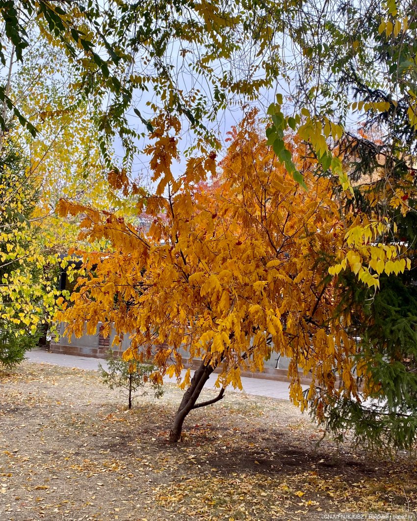 Внезапно прогулялись 2 — Культура