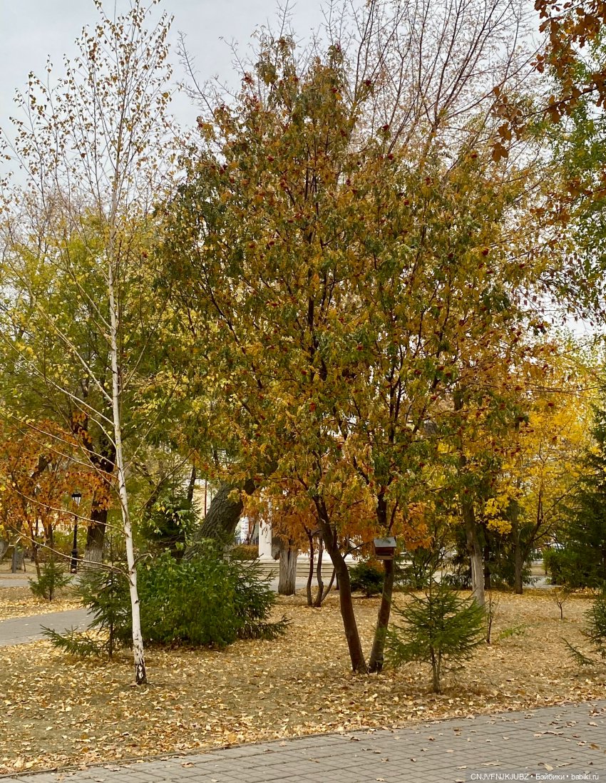 Внезапно прогулялись 2 — Культура