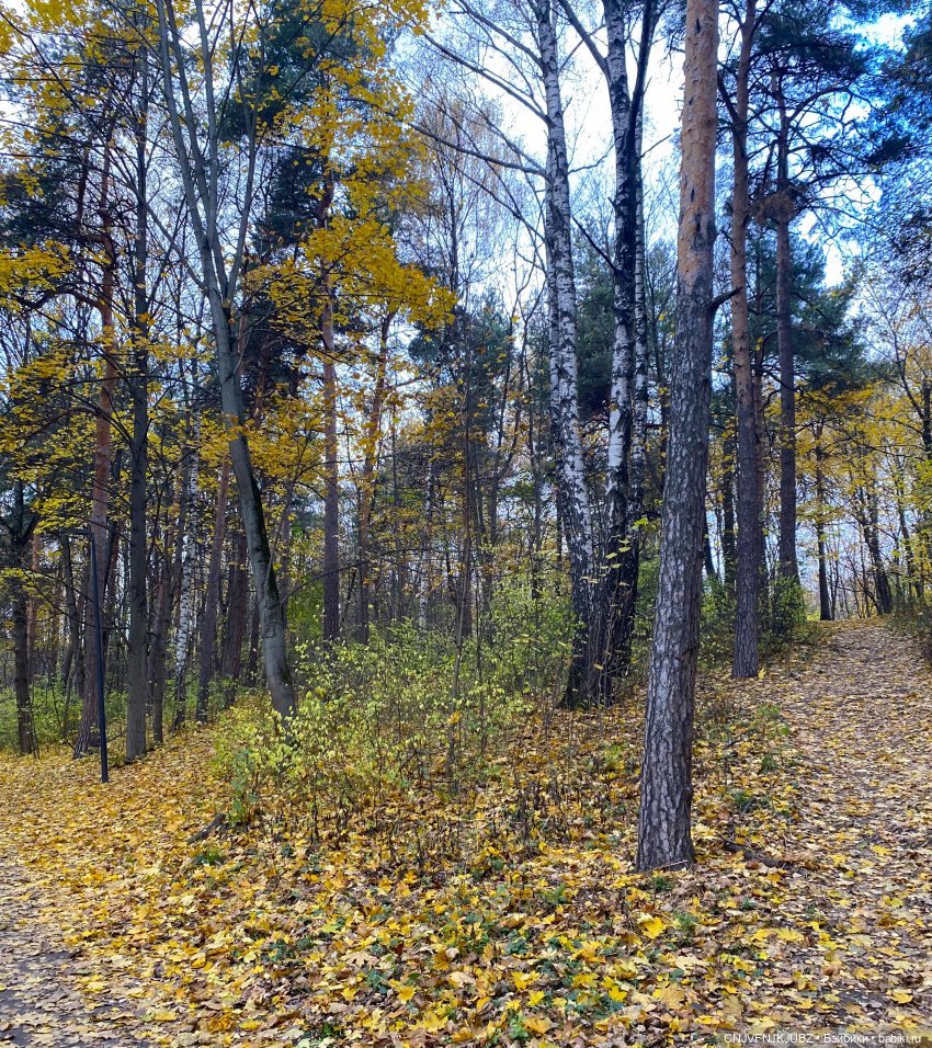 Пойдём по листьям пошуршим