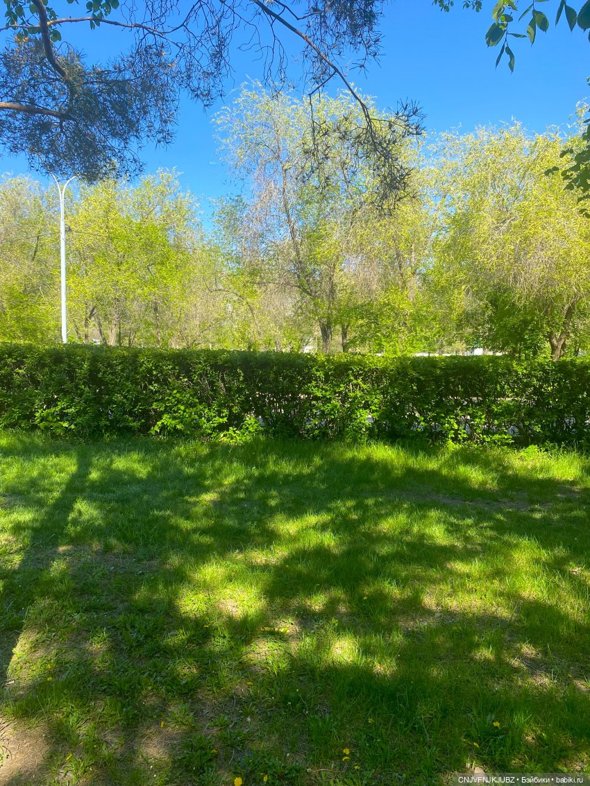 А мы на почту ходили — Домашние фото авторских игрушек: Тедди (фото 2)