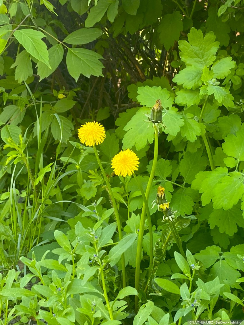 А мы на почту ходили — Домашние фото авторских игрушек: Тедди (фото 7)