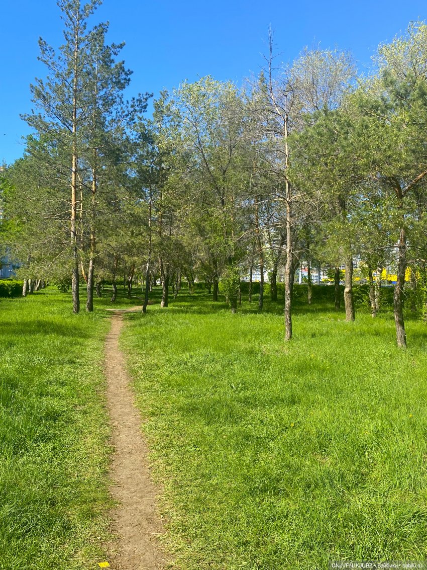 А мы на почту ходили — Домашние фото авторских игрушек: Тедди