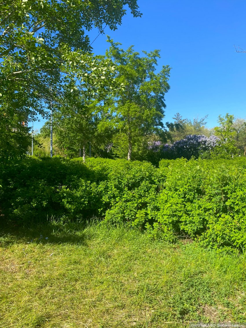 А мы на почту ходили — Домашние фото авторских игрушек: Тедди (фото 5)