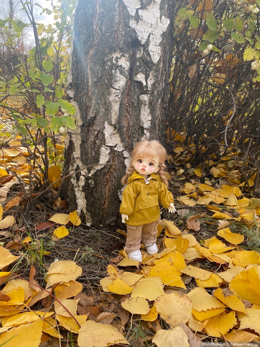 Долгожданная прогулка — Авторские куклы BJD (БЖД) у нас дома: фото (фото 5)