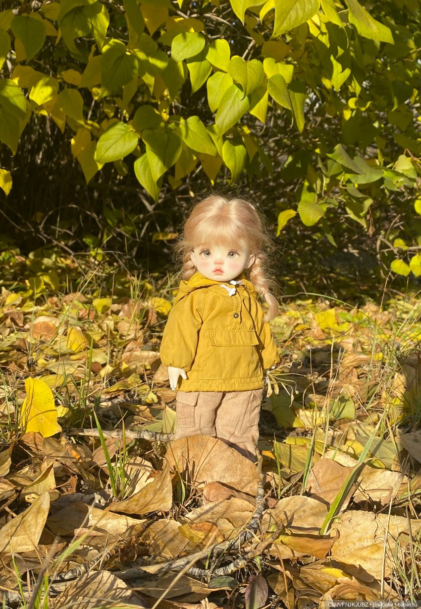 Долгожданная прогулка — Авторские куклы BJD (БЖД) у нас дома: фото