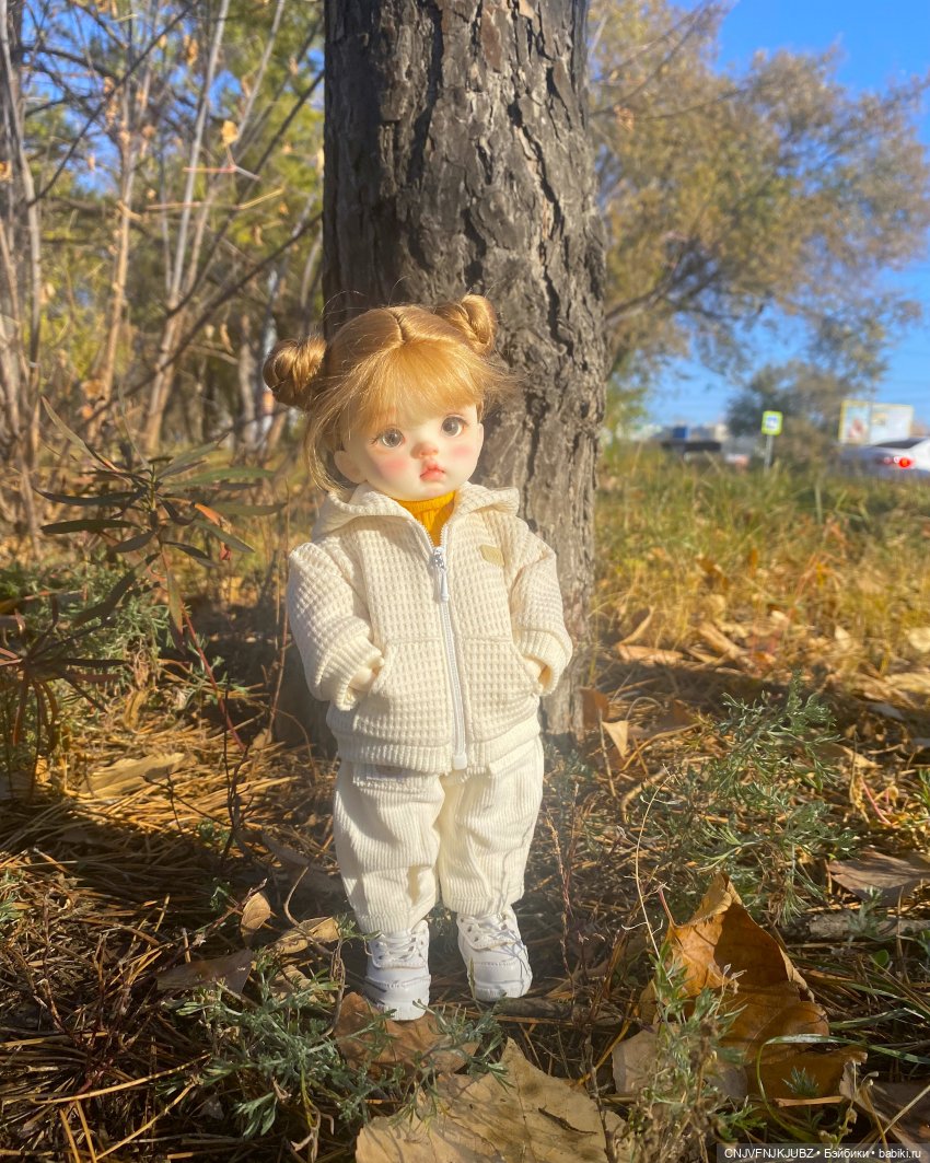 Прогулку с собакой-улыбакой (фото 2)