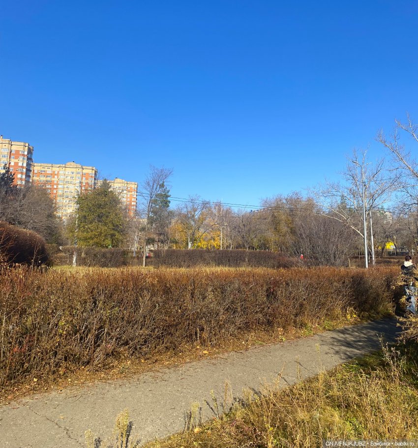 Прогулку с собакой-улыбакой