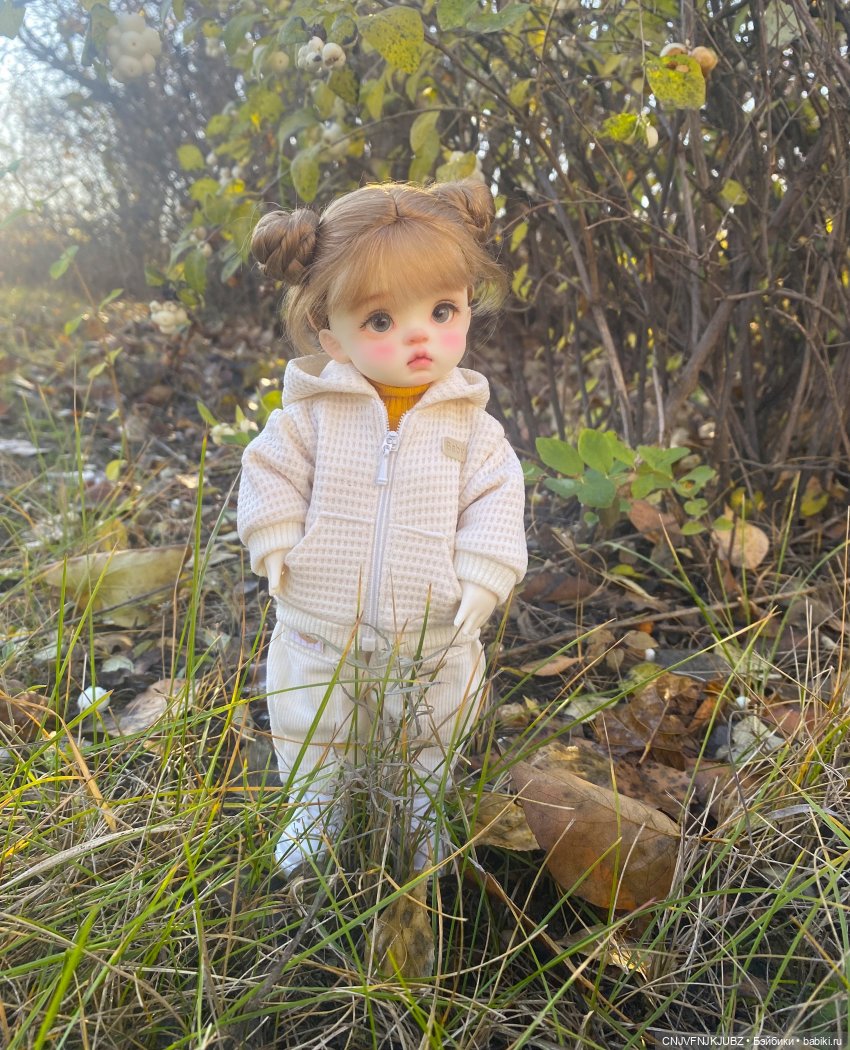 Прогулку с собакой-улыбакой (фото 6)