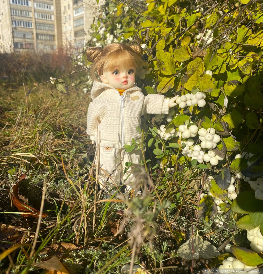 Прогулку с собакой-улыбакой