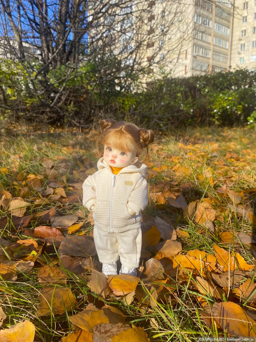 Прогулку с собакой-улыбакой