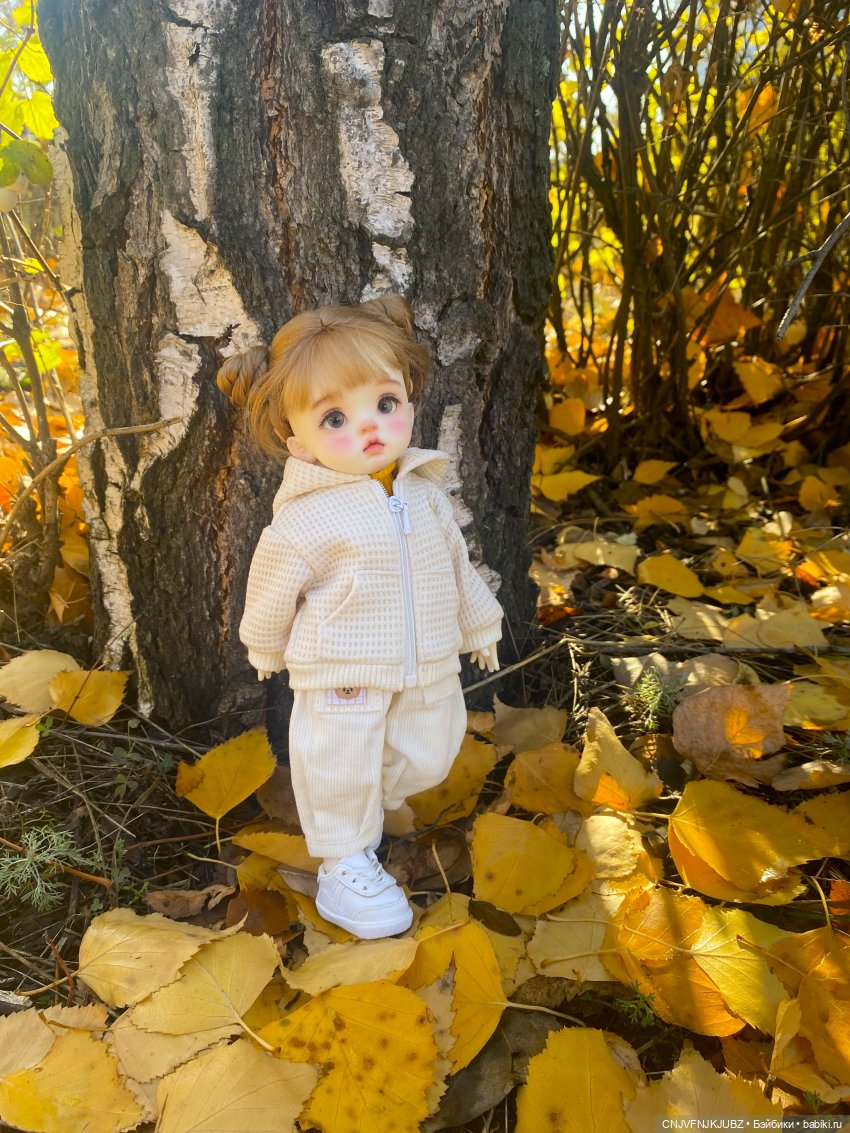 Прогулку с собакой-улыбакой