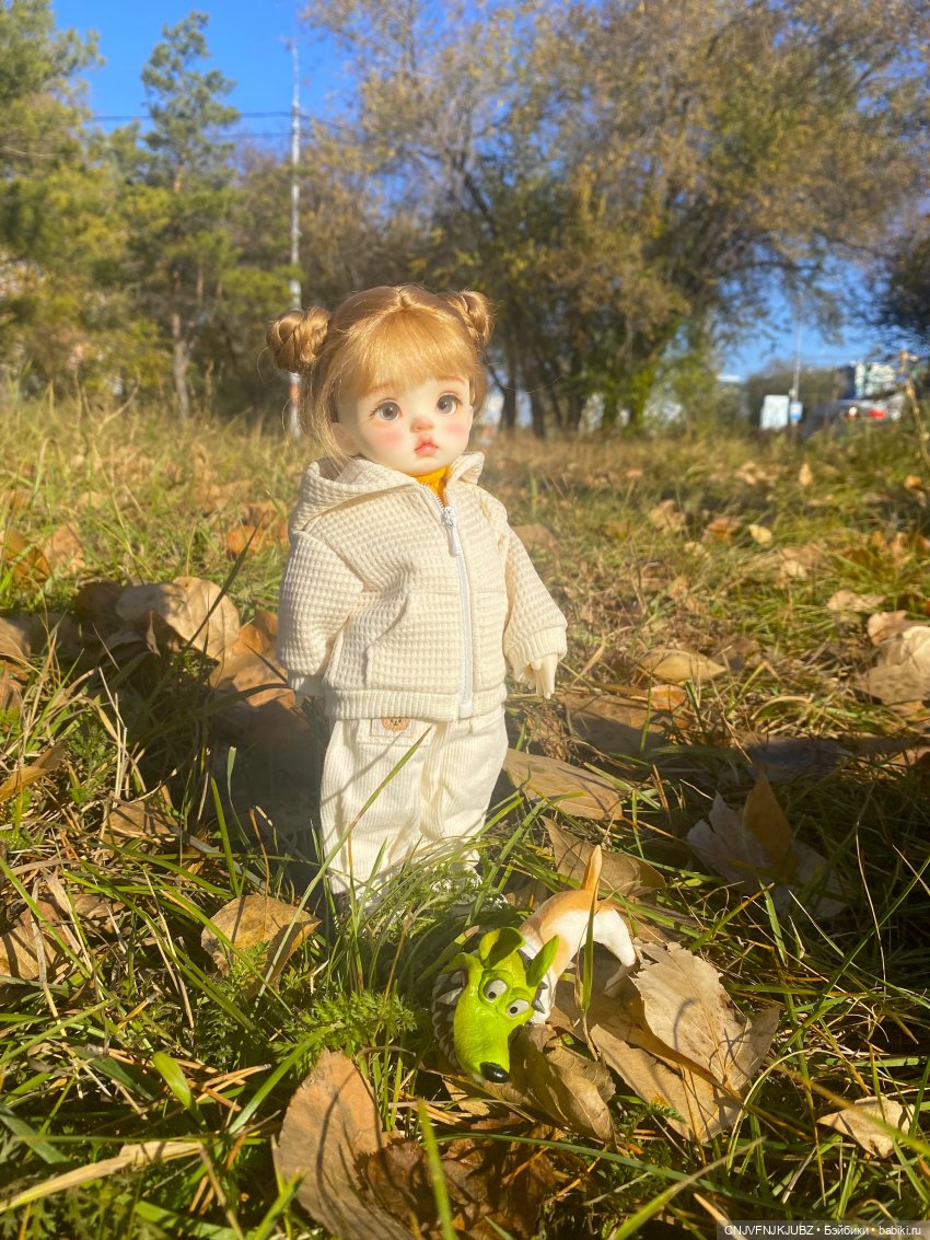 Прогулку с собакой-улыбакой (фото 5)