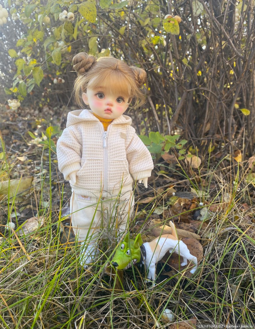 Прогулку с собакой-улыбакой (фото 7)