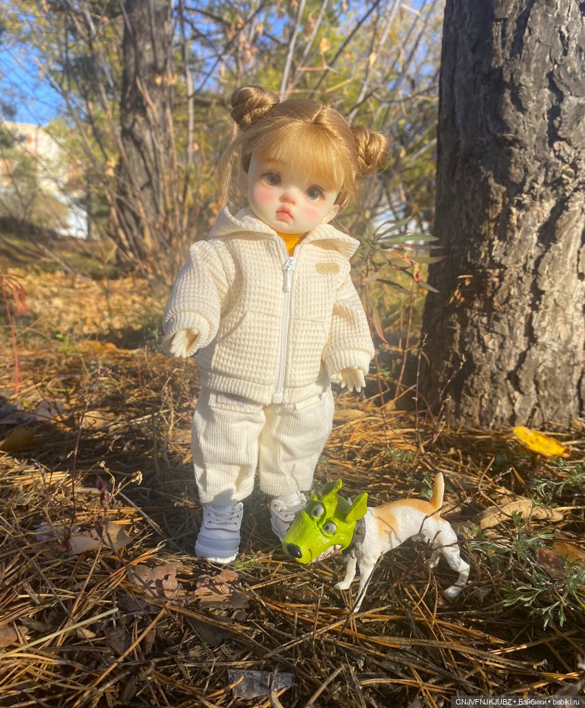 Прогулку с собакой-улыбакой (фото 4)