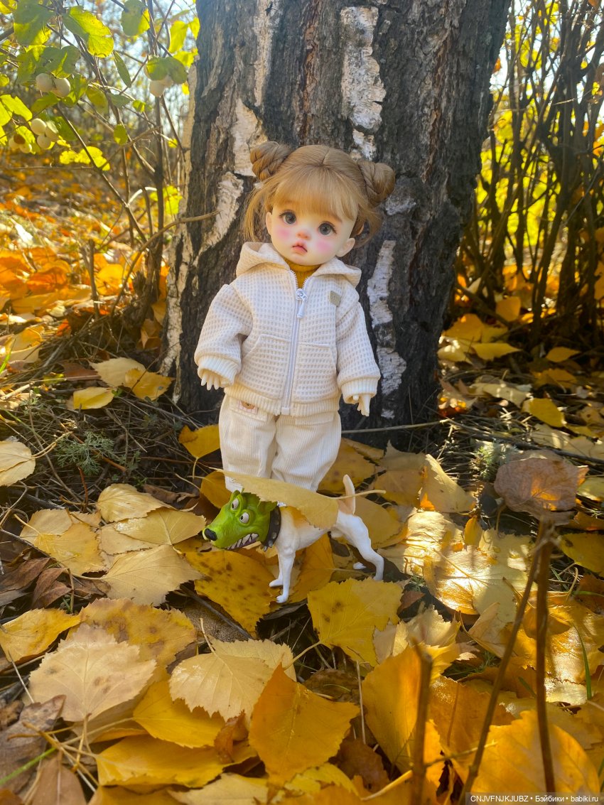 Прогулку с собакой-улыбакой