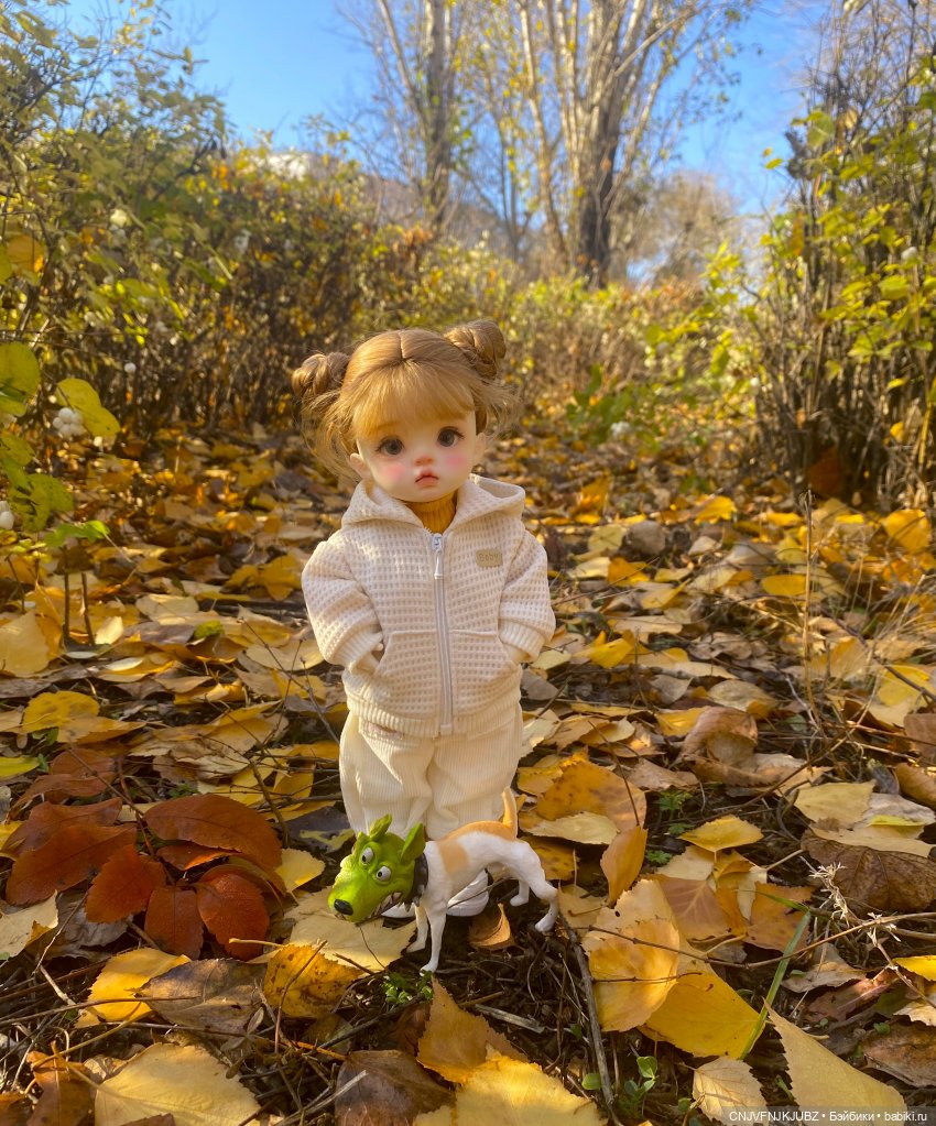 Прогулку с собакой-улыбакой