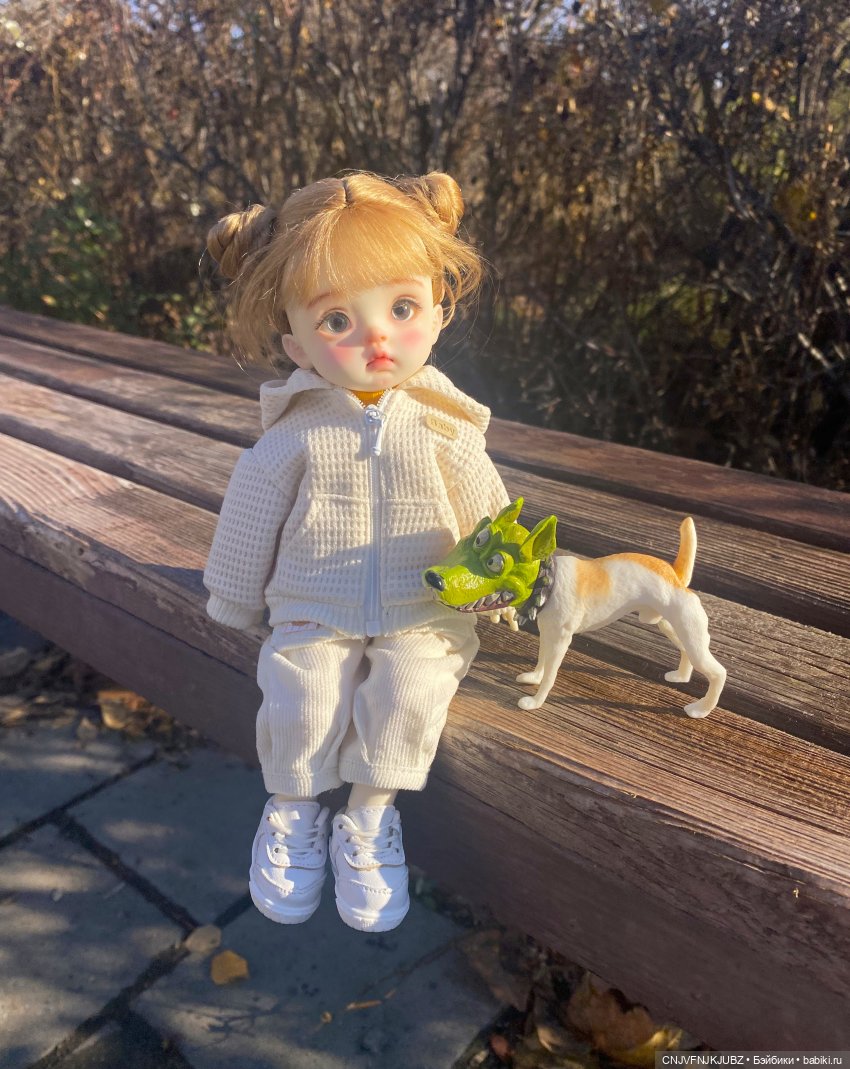 Прогулку с собакой-улыбакой