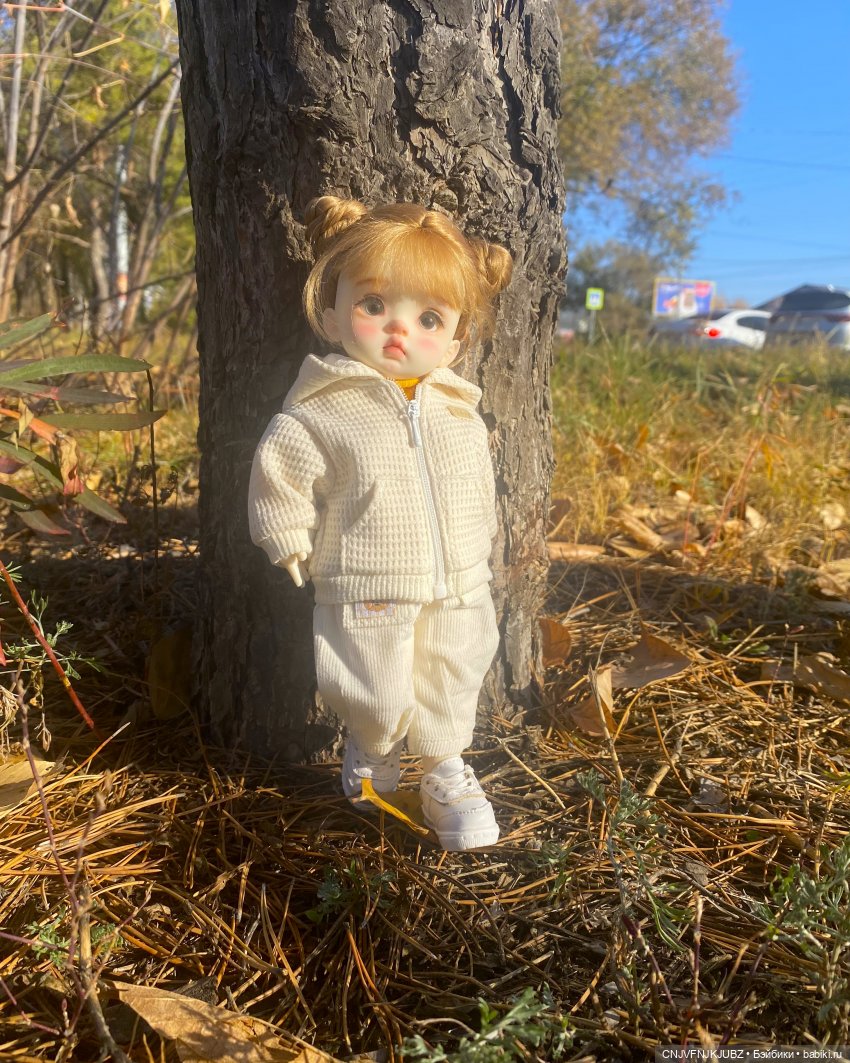 Прогулку с собакой-улыбакой (фото 3)