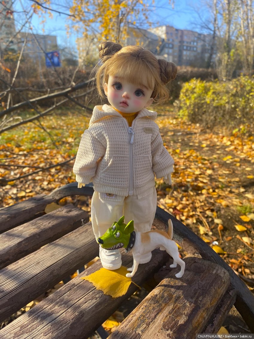 Прогулку с собакой-улыбакой