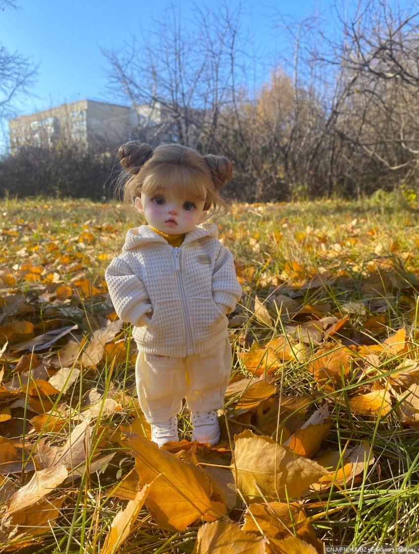 Прогулку с собакой-улыбакой