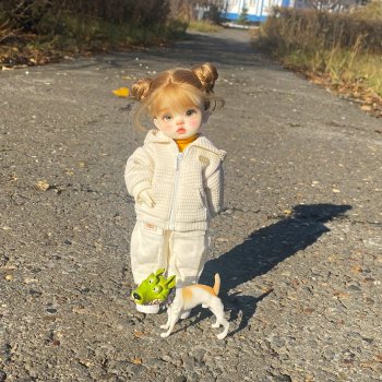 Прогулку с собакой-улыбакой