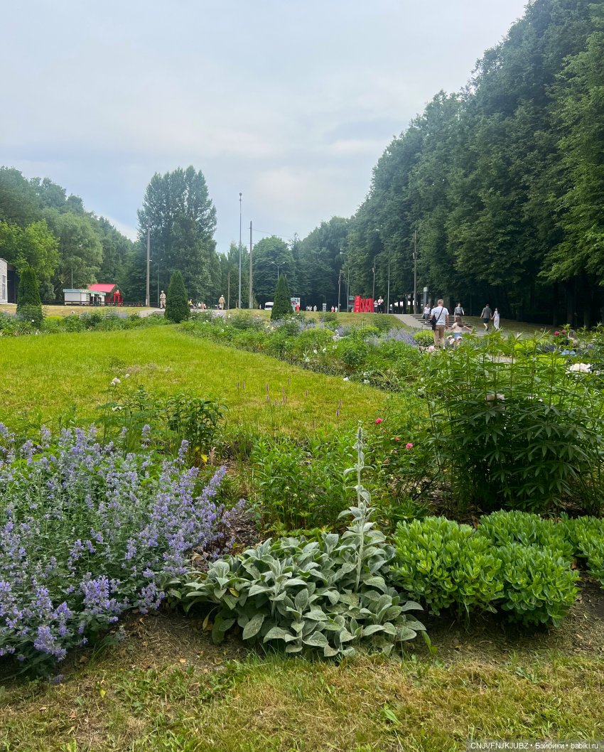 Отпускные зарисовки. Измайловский парк