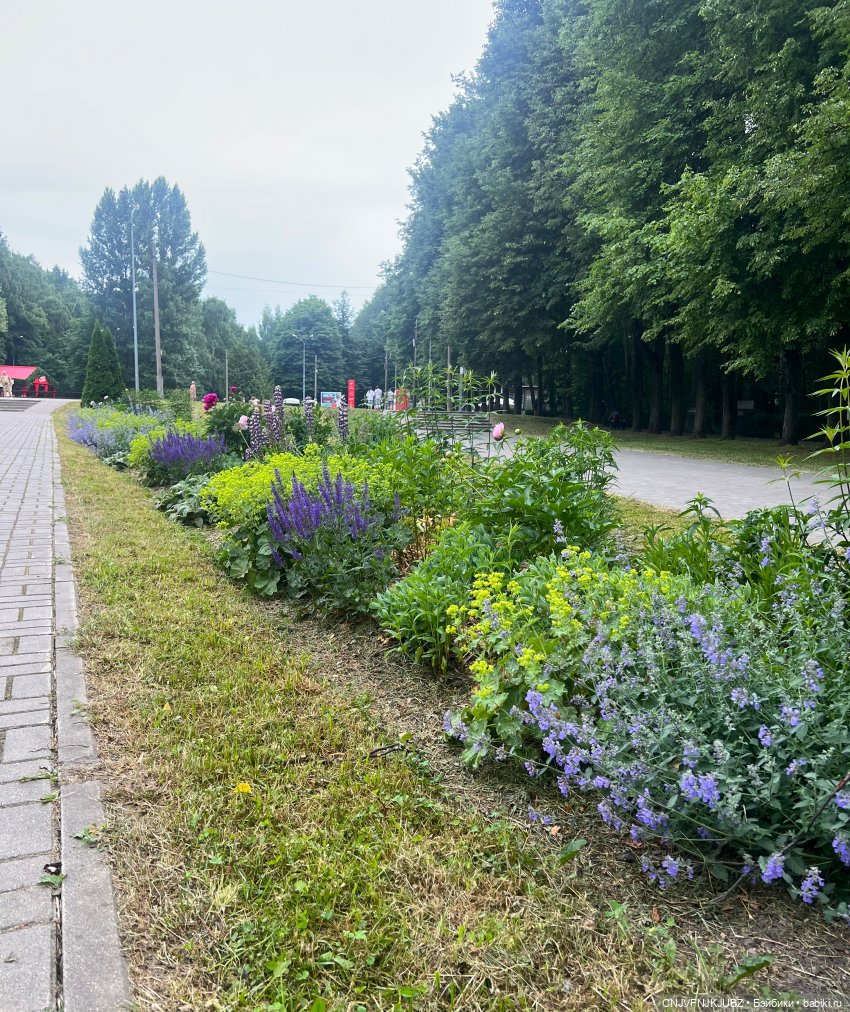 Отпускные зарисовки. Измайловский парк