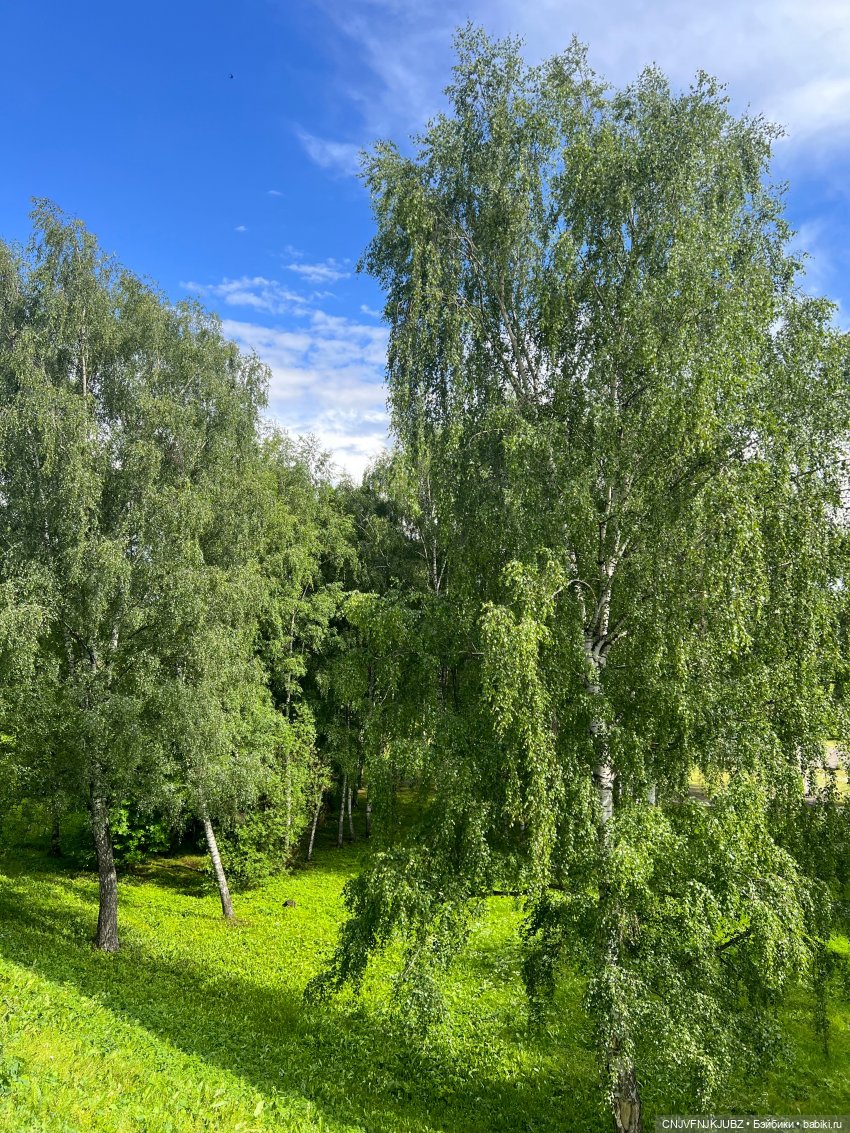 Отпускные зарисовки. Ярославль