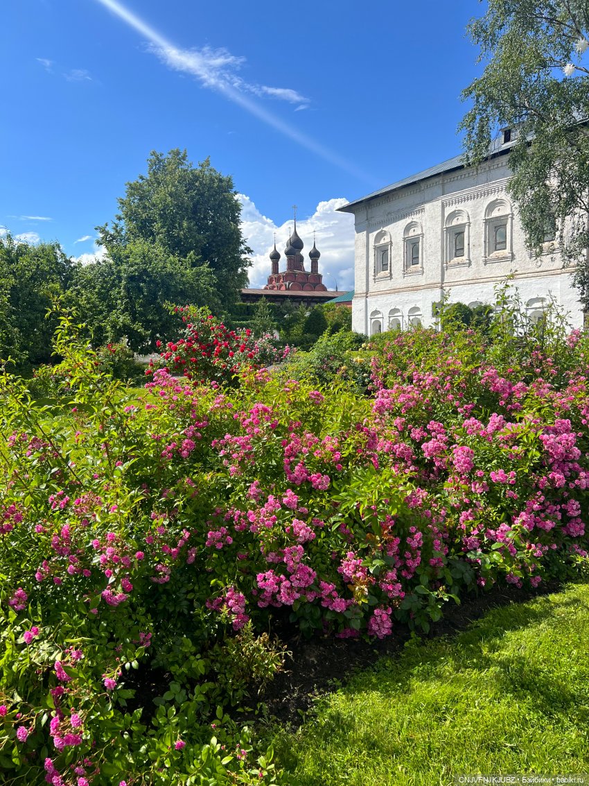 Отпускные зарисовки. Ярославль