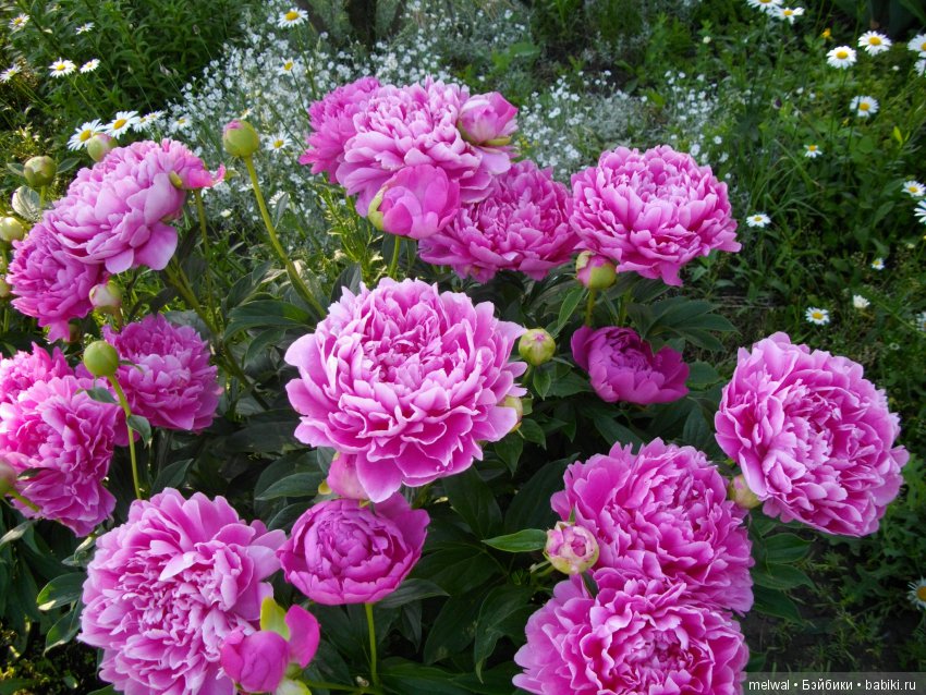 Куклы тоже любят сад. В ожидании солнца и тепла (фото 7)