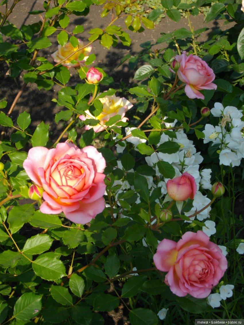 Куклы тоже любят сад. В ожидании солнца и тепла (фото 3)