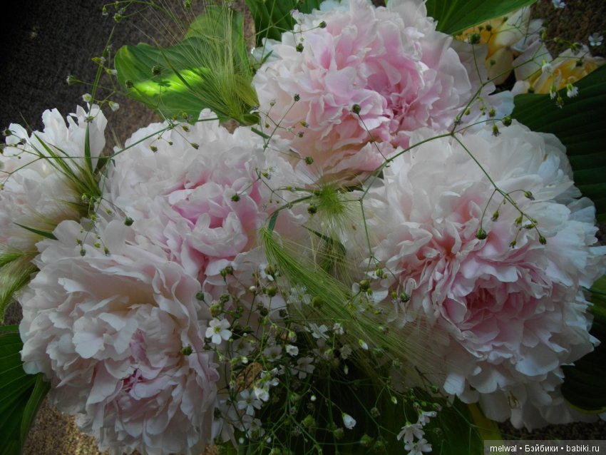 Куклы тоже любят сад. В ожидании солнца и тепла (фото 2)