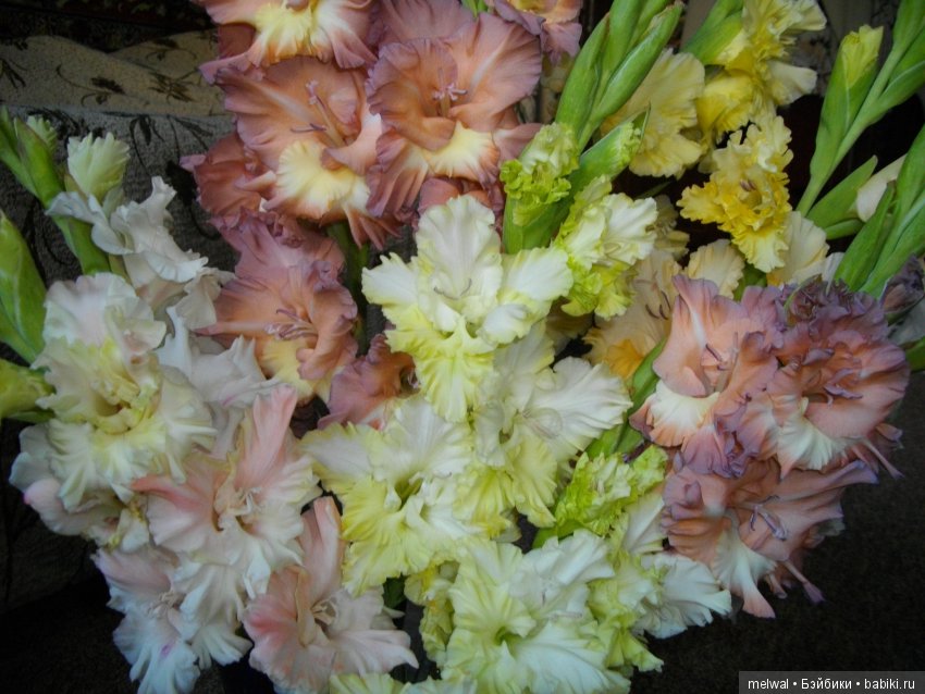 Куклы тоже любят сад. В ожидании солнца и тепла (фото 5)