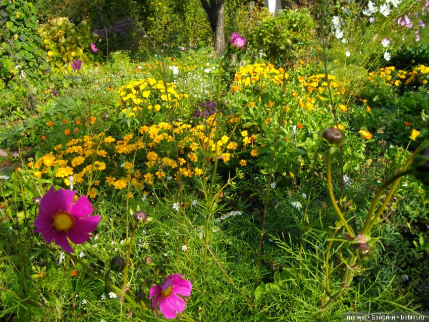 Куклы тоже любят сад. В ожидании солнца и тепла (фото 6)