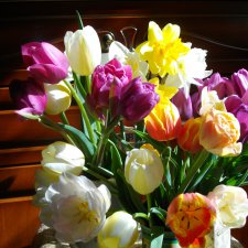 Куклы тоже любят сад. В ожидании солнца и тепла.