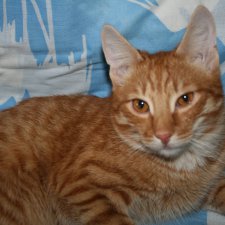 Возвращение детства 3. Вопросов больше, чем ответов