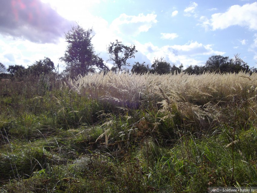 Куколка Zwergnase Junior: Violet