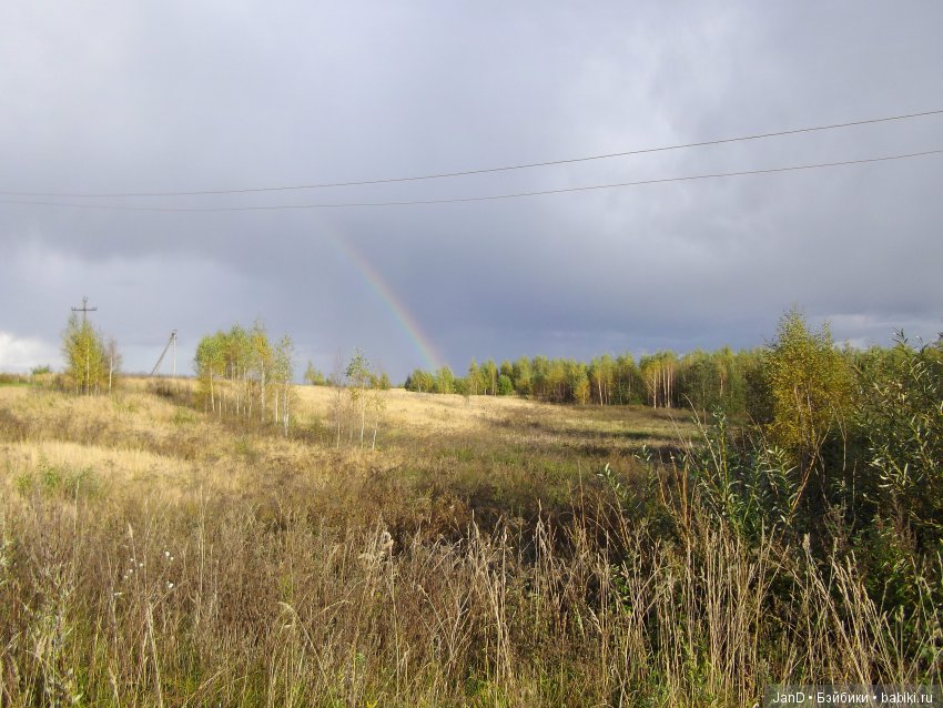 Куколка Zwergnase Junior: Violet