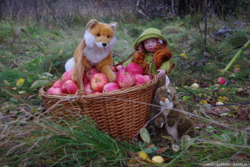 Красавица Zwergnase Abigale