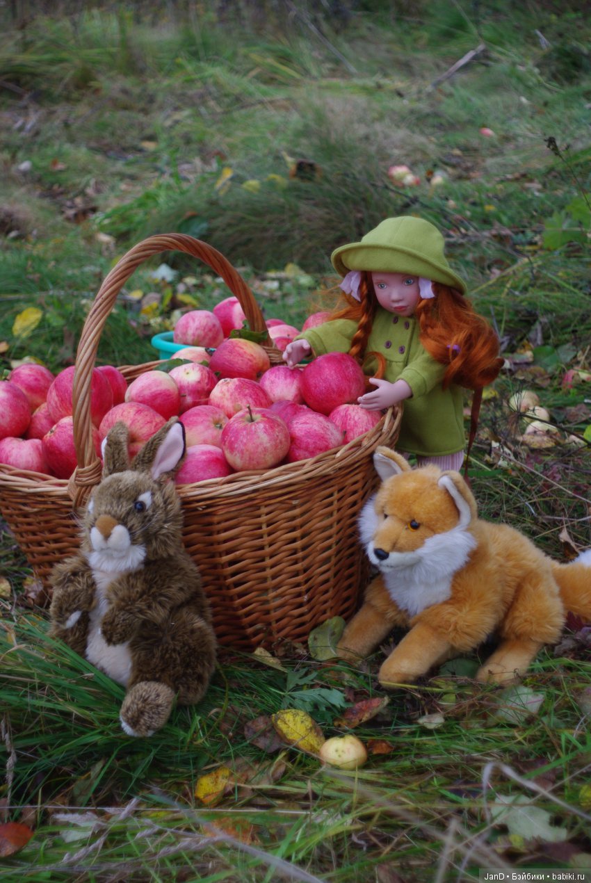 Красавица Zwergnase Abigale