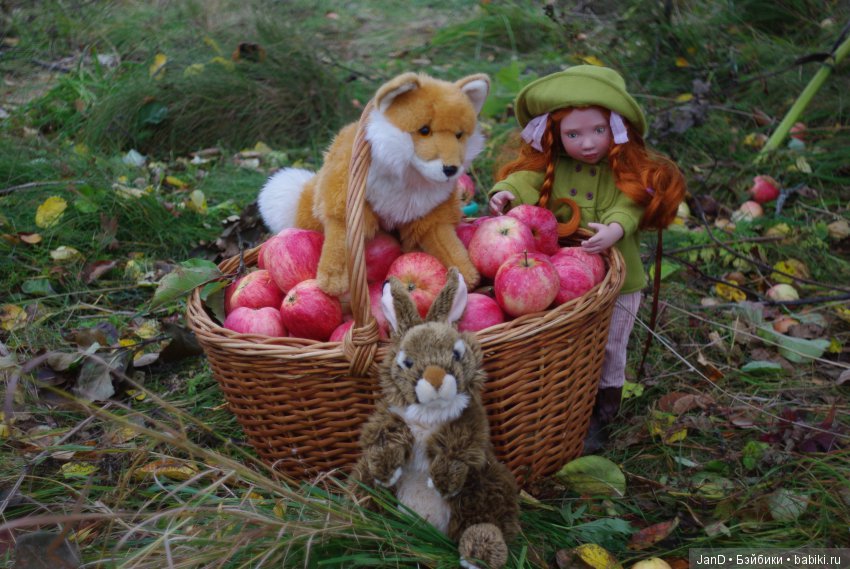 Красавица Zwergnase Abigale