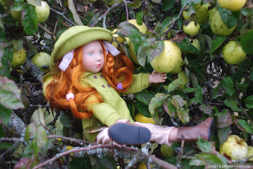 Красавица Zwergnase Abigale