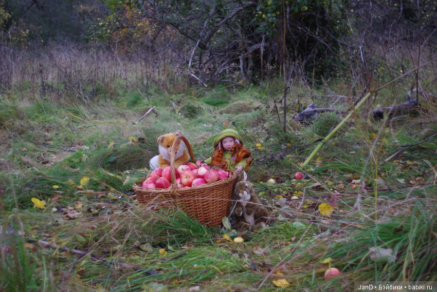 Красавица Zwergnase Abigale