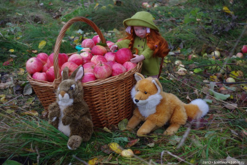 Красавица Zwergnase Abigale