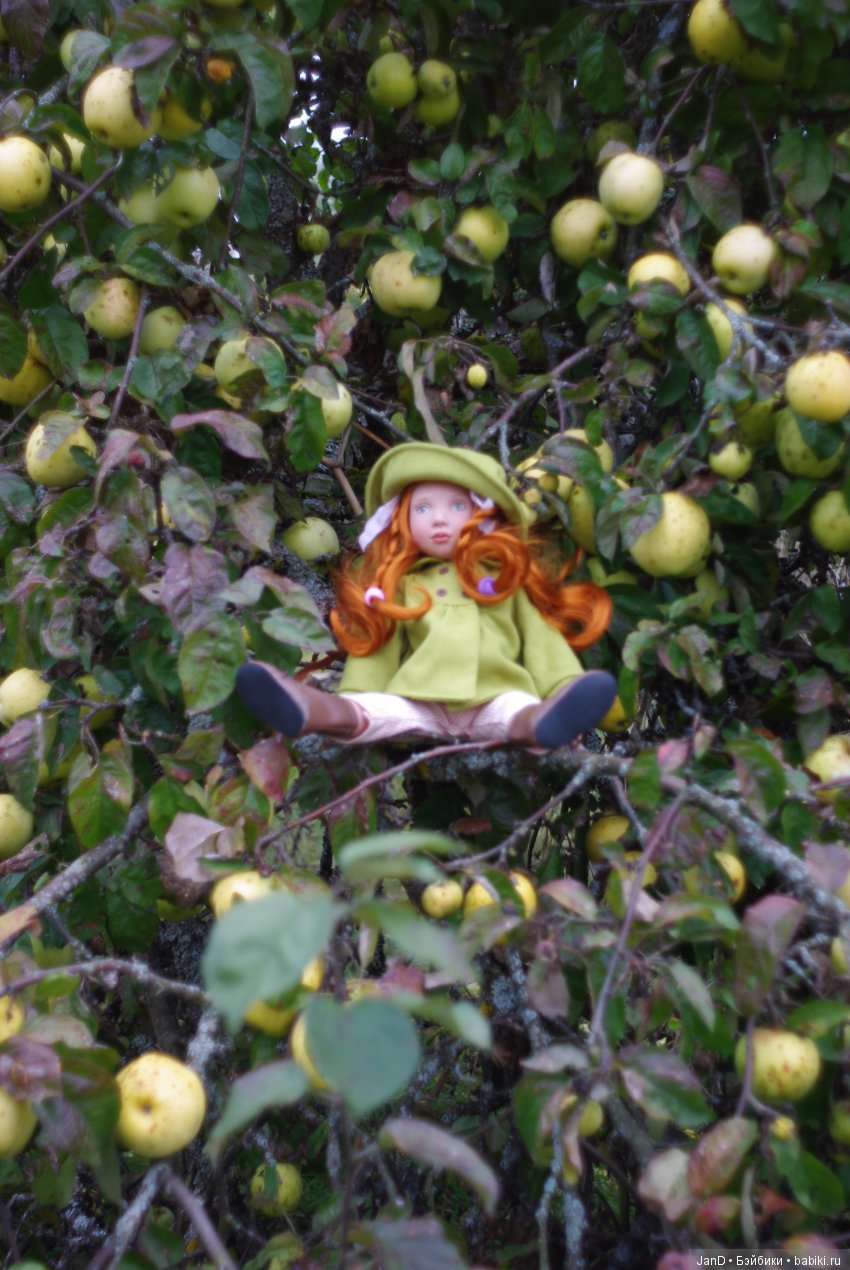 Красавица Zwergnase Abigale