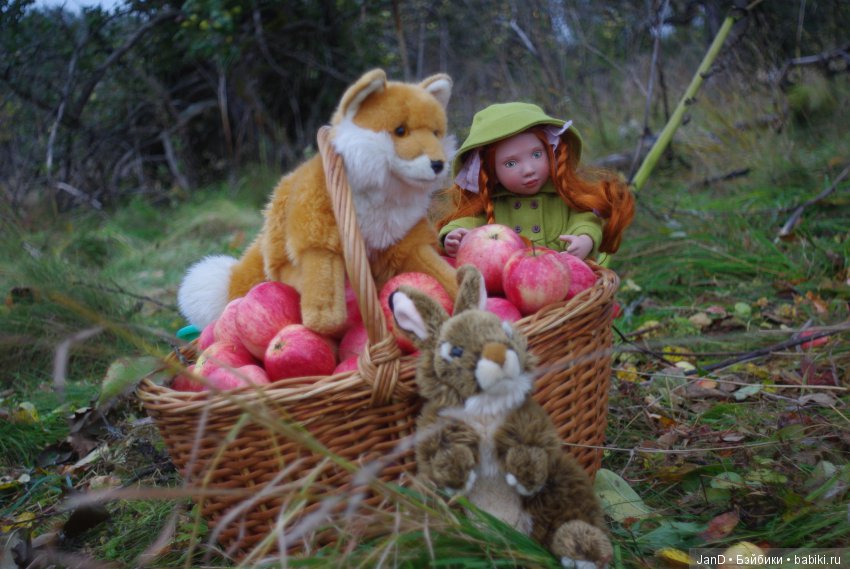 Красавица Zwergnase Abigale