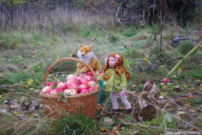 Красавица Zwergnase Abigale