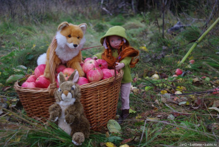 Красавица Zwergnase Abigale