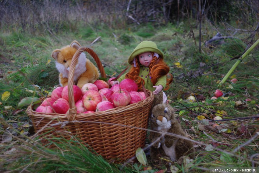 Красавица Zwergnase Abigale