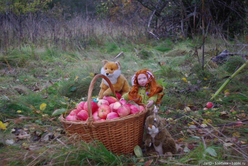 Красавица Zwergnase Abigale